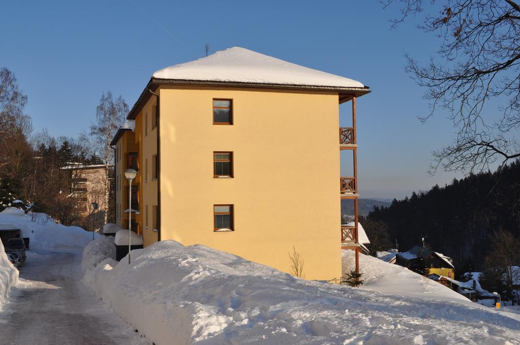 Apartman Kamila Janské Lázně Camera foto
